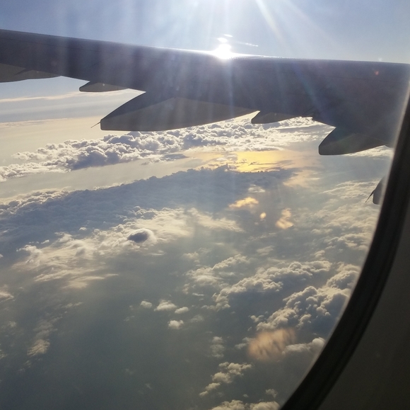 Meet your Posher, Rochelle - Picture 2 of 2